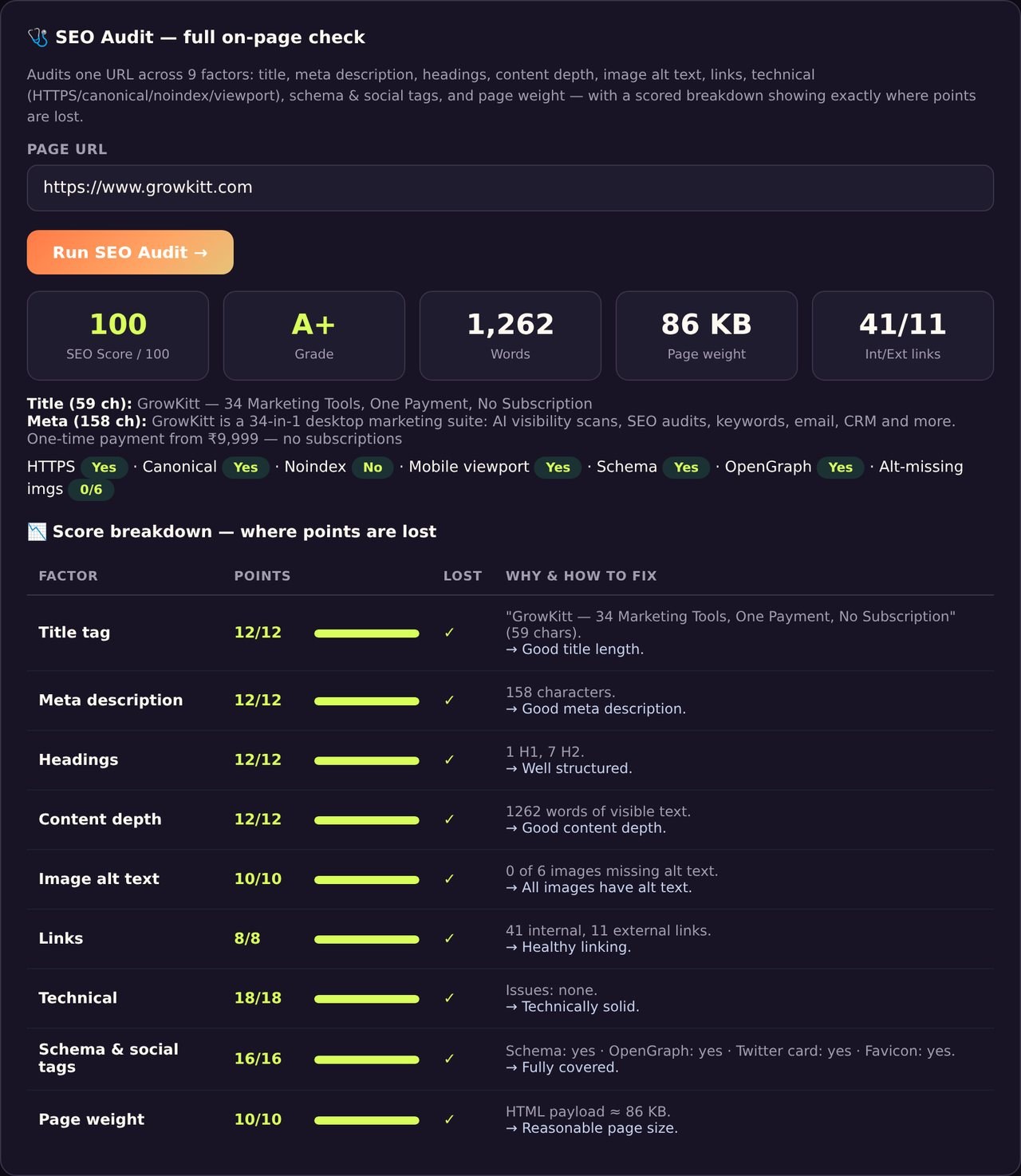 Screenshot — SEO Audit (100/100)